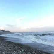 マホガニー油