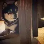 おきの画像