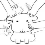 gの画像