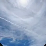 つんつくの画像