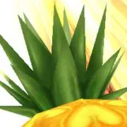 パイン