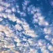 にぎり▶全品匿名配送の画像
