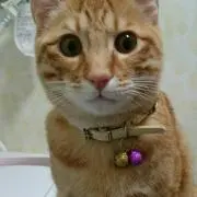 ちび