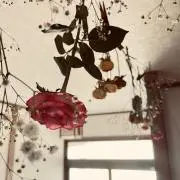 こたつ