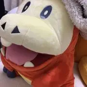 Dajiの画像