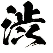 将来古着屋　『渋』の画像
