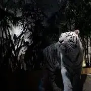 skr