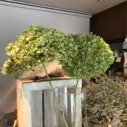 ni_mの画像