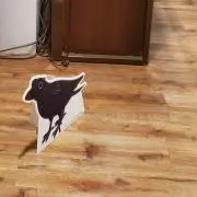 アムカの画像