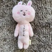 うさぴょんの画像