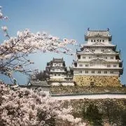 SKの画像