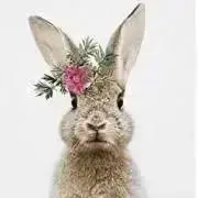 お花畑(*´꒳`*）の画像