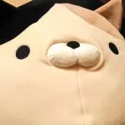 なつ(購入しない人入札しないでください)の画像