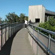 Mikeyの画像