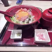 ねこくらげの画像