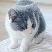 りーの画像