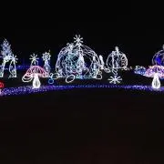 ももの画像