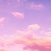 Roseの画像