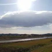 ぶのぶの