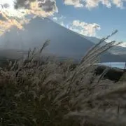 ようの画像