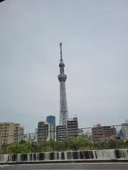メリーズの画像