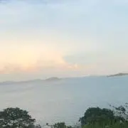 クロネガの画像