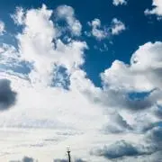 かりめろの画像