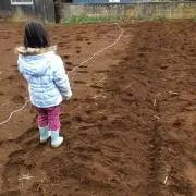 ネロの画像