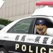 たっくらさん。の画像
