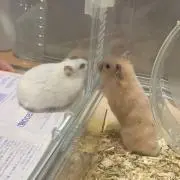 たおきちの画像