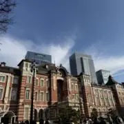 にんにんの画像