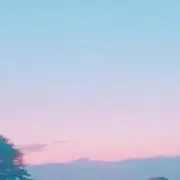 ♡BM9820の画像