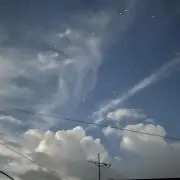 蜜の画像