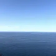 えだ  ~即購入可~の画像