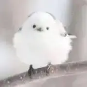 雪狐 資材/グッズの画像