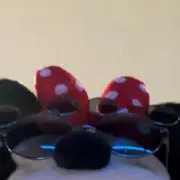 睡蓮