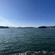 みかんの画像