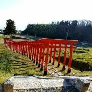 コズコズの画像