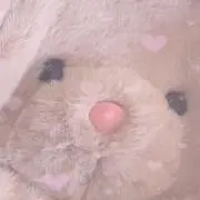 ねこ
