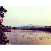コーヒー♥︎の画像