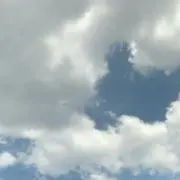 yuu.の画像