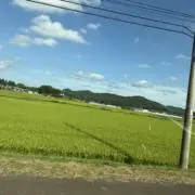 おもちの画像