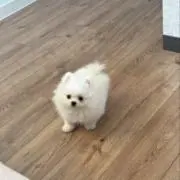 鈴木の画像