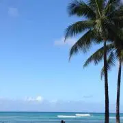 さと
