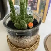 かおるん79の画像