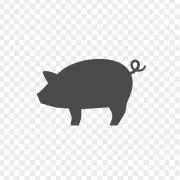 BB Webshopの画像