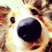 saku ※プロフィール必読の画像
