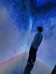 なるがるるがの画像