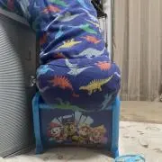 ぽん子の画像