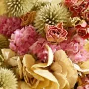 hiooの画像